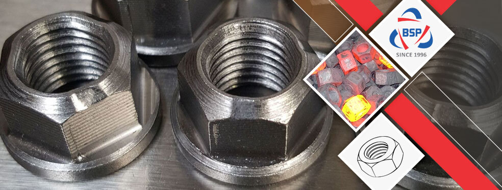 Hastelloy C22 Hex Nuts Hastelloy C22 Hex Nuts